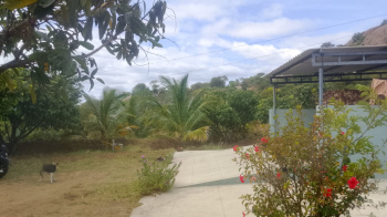 Agricultural/Farm Land for Sale in Palakkodu, Dharmapuri (3 Acre)