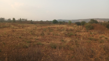 Agricultural/Farm Land for Sale in Denkanikottai, Krishnagiri (65 Cent)