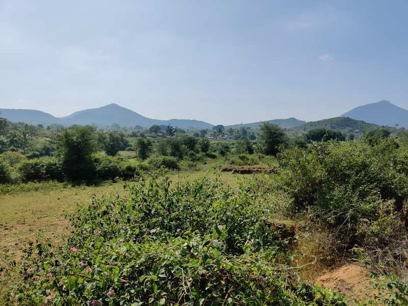 5 Acre Agricultural/Farm Land for Sale in Kelamangalam Road, Hosur