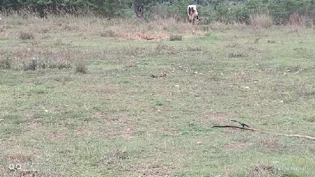 5 Acre Agricultural/Farm Land For Sale In Shoolagiri, Krishnagiri