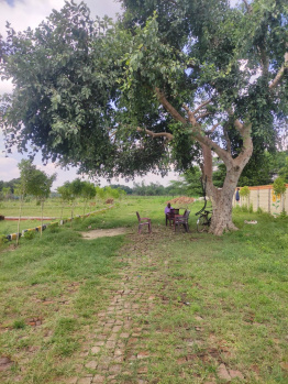 Residential Plot for Sale in New Jail Road, Lucknow (1500 Sq.ft.)