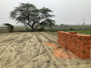 Property for sale in S. G. P. G. I., Lucknow