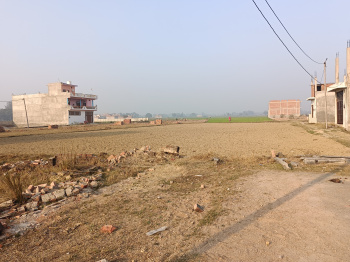 Residential Plot for Sale in Raebareli Road, Lucknow (1000 Sq.ft.)