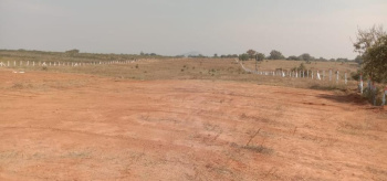 3.27 Acre Agricultural/Farm Land for Sale in Shamirpet, Jangaon