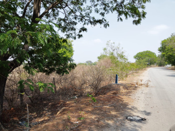 3.5 Acre Agricultural/Farm Land for Sale in Shamirpet, Hyderabad