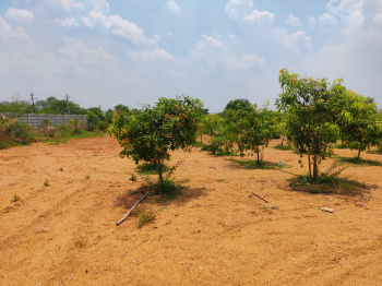 3 Acre Agricultural/Farm Land for Sale in Shamirpet, Hyderabad