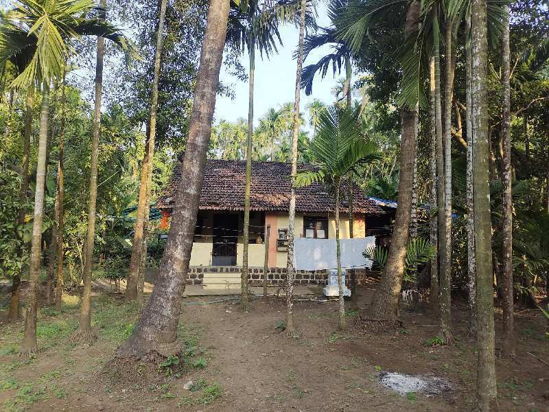 1 BHK Farm House for Sale in Chaul, Raigad (22 Guntha)