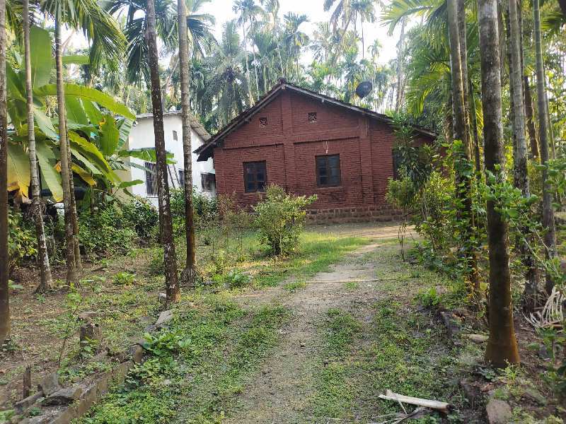 1 BHK Farm House for Sale in Chaul, Raigad (22 Guntha)