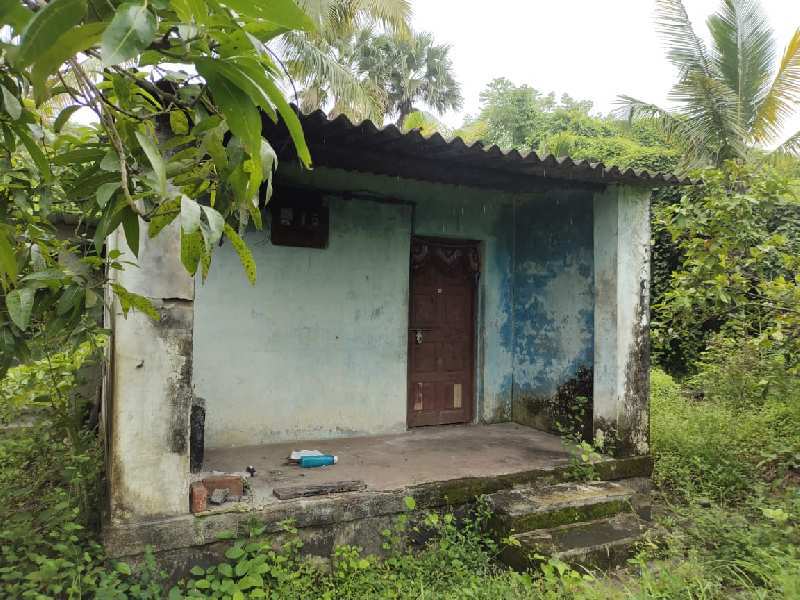 43 Guntha Residential Plot for Sale in Agarsure, Raigad