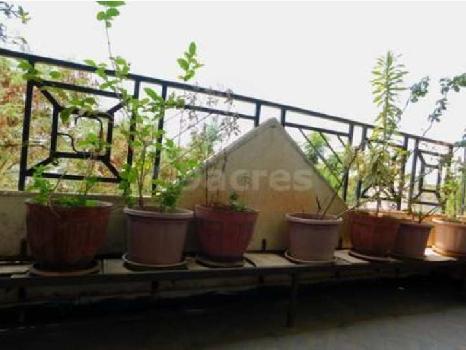 Property for sale in Chinchwad, Pune