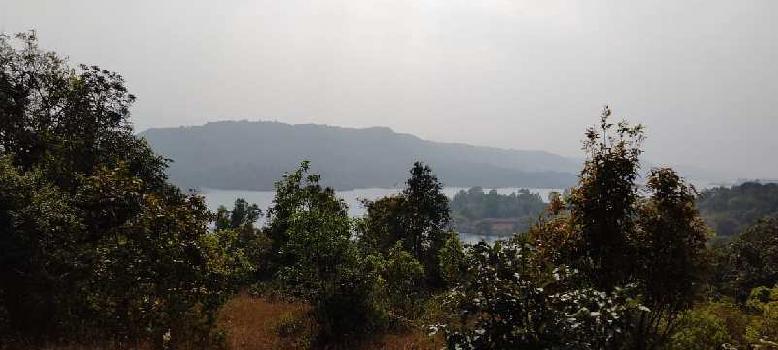 34000 Sq.ft. Agricultural/Farm Land for Sale in Bhor, Pune