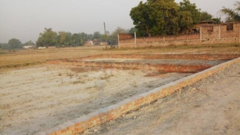 975 Sq.ft. Residential Plot for Sale in Ranipur More, Haridwar
