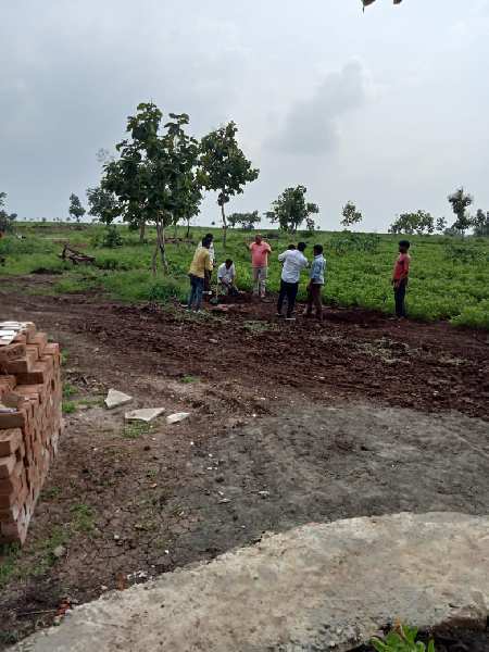 202 Bigha Agricultural/Farm Land for Sale in Pipliyahana, Indore