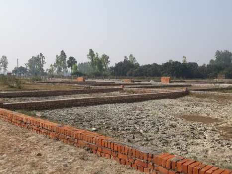 5000 Sq. Yards Residential Plot for Sale in Phase 6, Mohali