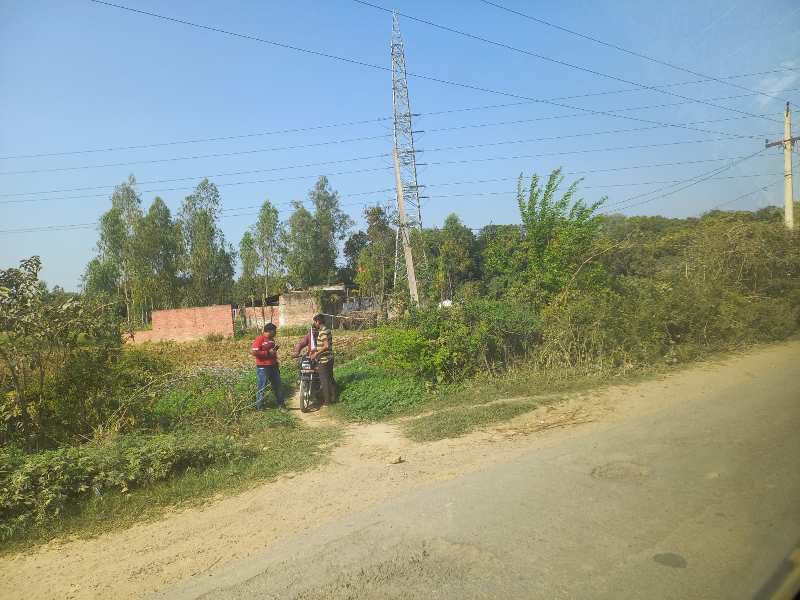 20250 Sq.ft. Agricultural/Farm Land for Sale in Gosainganj, Lucknow
