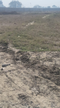 Residential Plot for Sale in Vishnu Puram Colony, Bulandshahr (177 Sq. Yards)