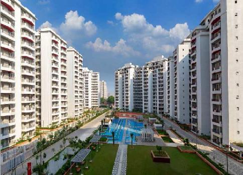 3 BHK Flats & Apartments for Sale in Sector 91, Gurgaon (1823 Sq.ft.)