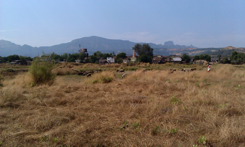 34 Goontha Agriculture Land Sale In Shelu Near Neral, Mumbai