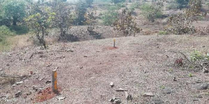 56 Goonthas  (59000 sq feet ) Agriculture Land sale in Murbad  in village Talegaon (Murbad )