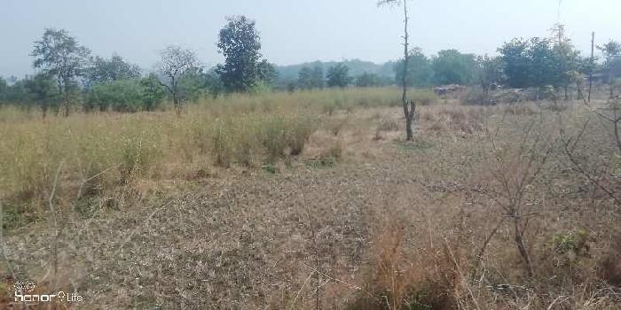 Goat farming Land 5 acre  on Long Lease in Talegaon Murbad