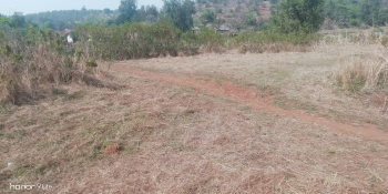 Goat farming Land 5 acre  on Long Lease in Talegaon Murbad