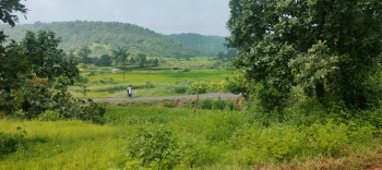 Goat farming Land 5 acre  on Long Lease in Talegaon Murbad