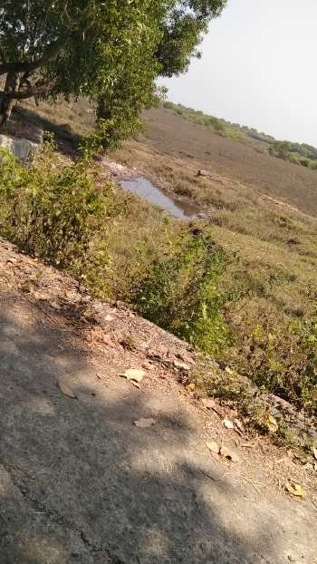Property for sale in Alibag, Raigad