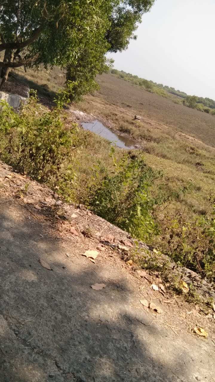 22 Goonthas Agriculture Land in Kawade near Mandwa Alibaug