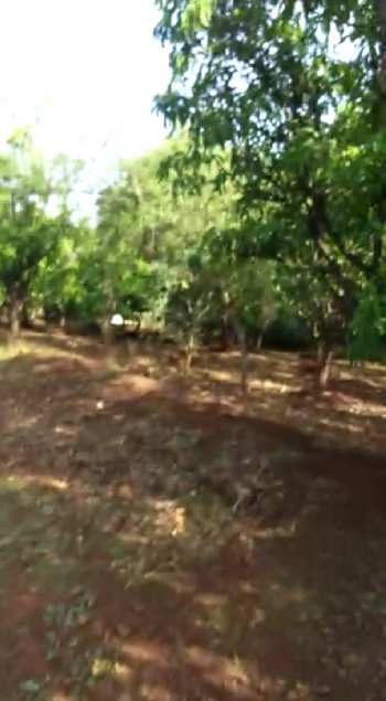 2 acre Farm House for sale in Dhasai, Murbad, near Thane