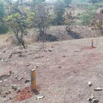 36 Goonthas (36000 sq feet ) Agriculture Land sale in Murbad in village Talegaon (Murbad )near Tokavade.