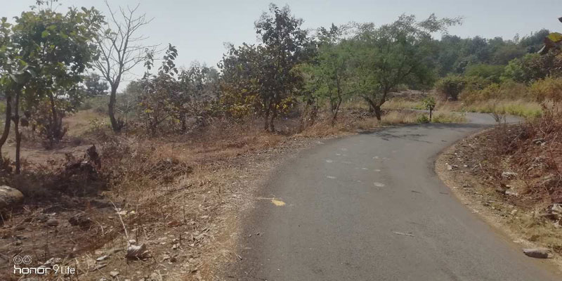36 Goonthas (36000 sq feet ) Agriculture Land sale in Murbad in village Talegaon (Murbad )near Tokavade.