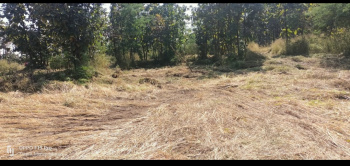65 gunta Agriculture land sale murbad near karvale