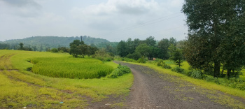 5 acre Road touch land for Poultry business, Goat farming on long Lease for 33 years for Rs.13 lac in Talegaon, murbad