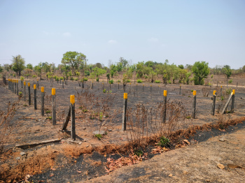 4475 sqfeet NA Plot near Mumbai in Murbad Area