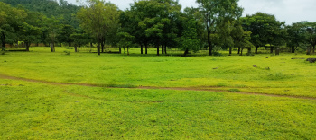 14 Acre Commercial Lands /Inst. Land for Sale in Kasara, Thane