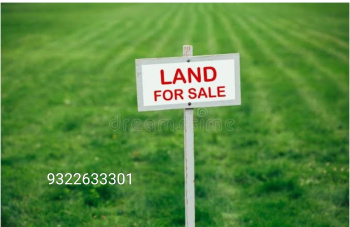 13 acre (kile) agriculture land for sale in adampur Jalandhar