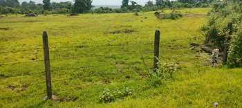 13 acre agriculture land on tokavade shahpur road murbad