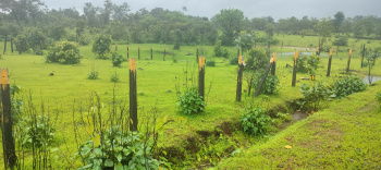 Residential Plot for Sale in Murbad, Thane (4475 Sq.ft.)