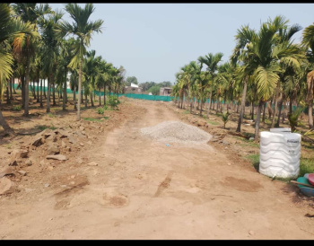 Property for sale in Alibag, Raigad