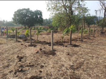 Property for sale in Alibag, Raigad