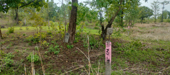 Residental Plot  Available For Sale in wagivili  just 5 kms from Murbad busstop