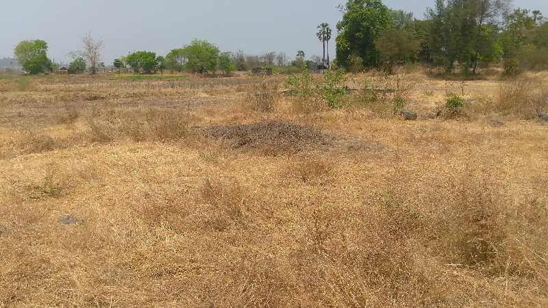 Agriculture Land 34 Goontha near Shelu Railway Station  near Neral  for Farmhouse