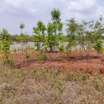 Property for sale in Murbad MIDC, Thane