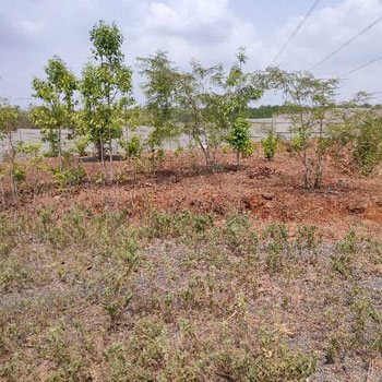 Property for sale in Murbad MIDC, Thane