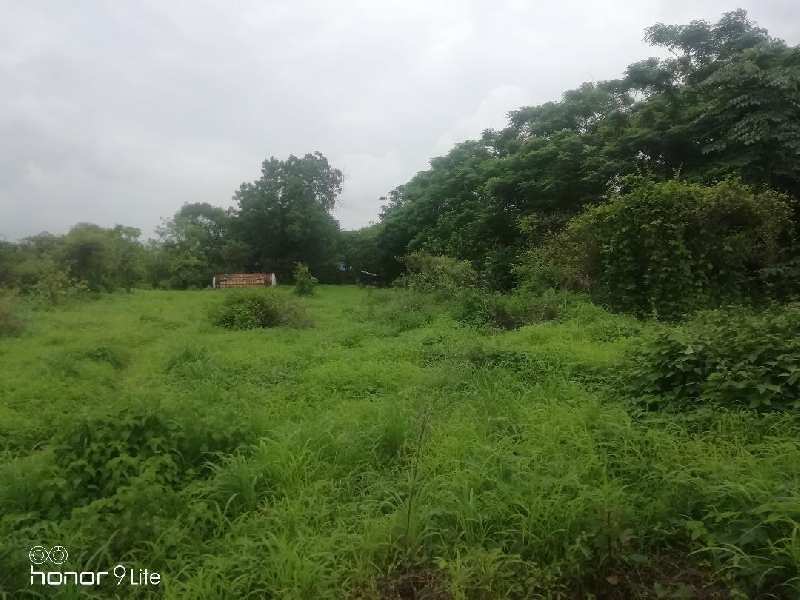 39 Goonthas  Land in Bapgaon near Kalyan On Kalyan Padga Road