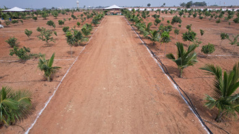 Agricultural/Farm Land for Sale in Maheshwaram, Hyderabad (242 Sq. Yards)