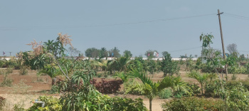 Agricultural/Farm Land for Sale in Amangal, Hyderabad (242 Sq. Yards)