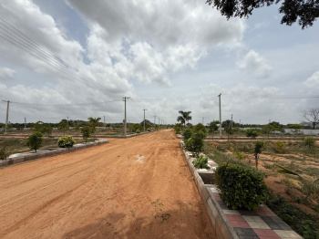 Agricultural/Farm Land for Sale in Kadthal, Hyderabad (5 Acre)
