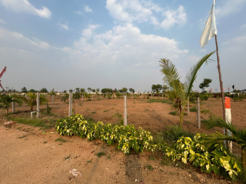 Agricultural/Farm Land for Sale in Kandukuru, Hyderabad (606 Sq. Yards)