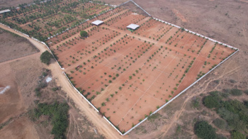 Residential Plot for Sale in Mucherla, Hyderabad (606 Sq.ft.)